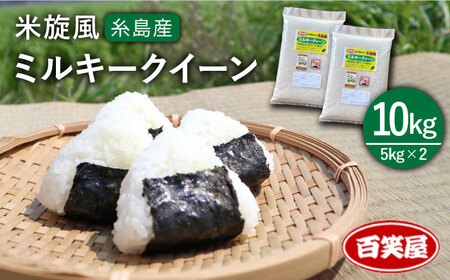 【令和7年産新米予約】米旋風 ミルキークイーン 10kg（5kg×2）【2025年10月中旬以降順次発送】《糸島》【百笑屋】 [ABF002] 白米 白米 白米 白米 白米 白米 白米 
