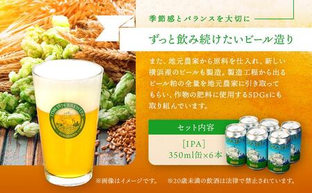 TDM 1874 Brewery クラフトビール　IPA（350ml×6本）【お酒・地ビール・酒】  数々の審査会で金賞受賞！ ABG0002