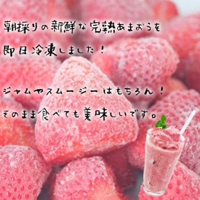 【先行受付】冷凍あまおう1kg(岡垣町)【配送不可地域：離島】