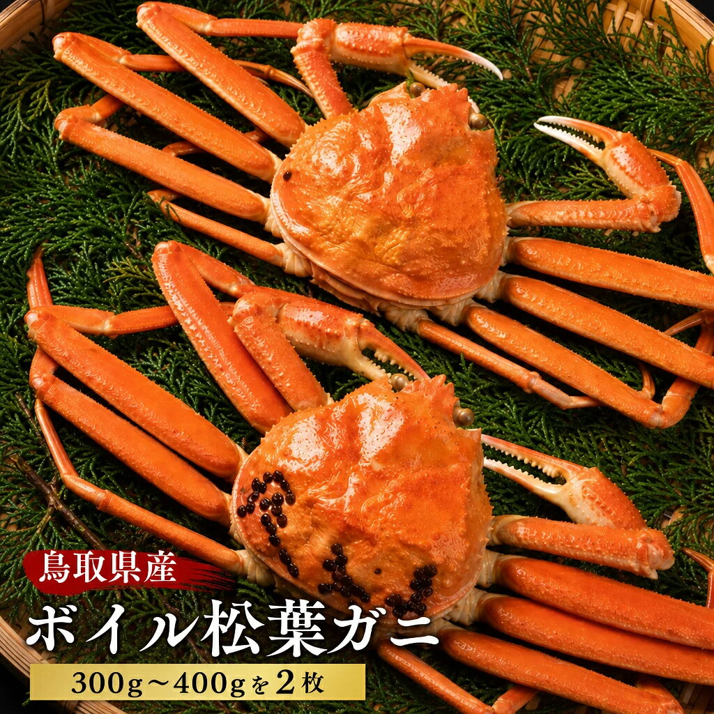 【ふるさと納税】OM-16-1ボイル松葉ガニ（300g〜400gを2枚）【土日到着限定】鳥取県産 松葉ガニ ズワイガニ かに 松葉蟹 ずわいがに　カニ 松葉がに 蟹 魚介 海鮮 送料無料 鳥取県 大山町 【11月下旬以降発送】