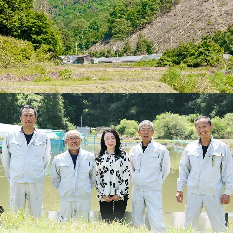 すっぽん鍋 八千代 すっぽん 鍋セット 5～6人前 スッポン コラーゲン 鍋