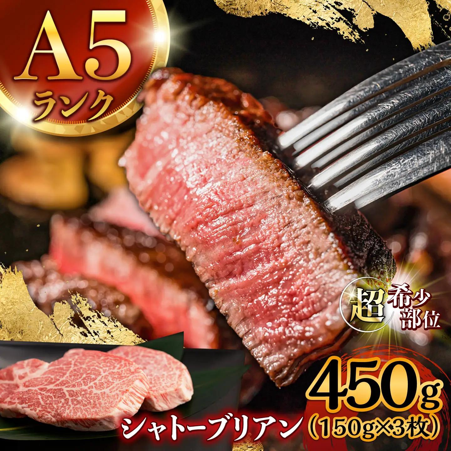 長崎和牛 シャトーブリアン 450g シャトーブリアンステーキ AHCW149