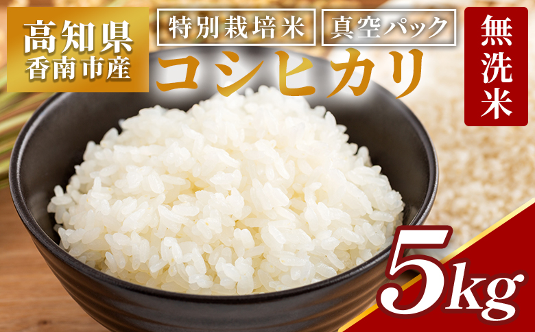 無洗米 高知県香南市産 特別栽培米 真空パック コシヒカリ 5kg 国産 米 お米 おこめ こしひかり 白米 ごはん おにぎり おむすび ご飯 農業公社 高知県 香南市 常温 nu-0002
