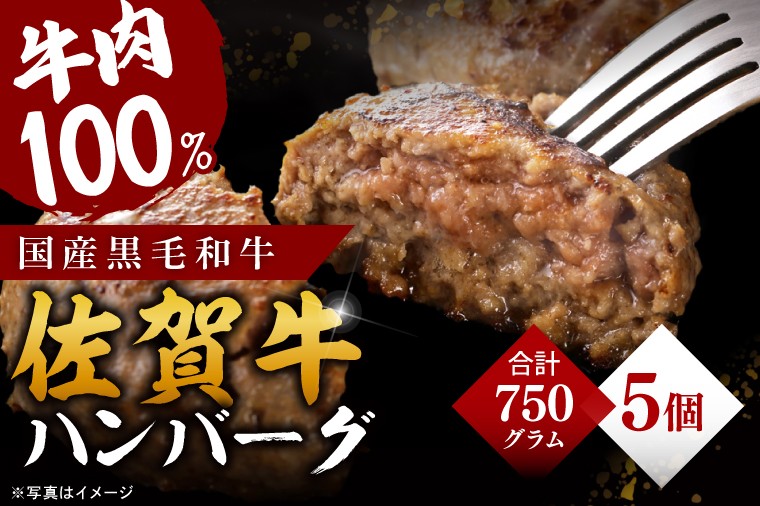 
                  佐賀牛100％ハンバーグ5個入り
                