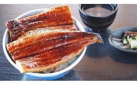 愛知県三河一色産うなぎ蒲焼き　超特大サイズ2尾(合計500g以上) 国産 愛知県産 西尾市産 西尾一色産 うなぎの兼光 鰻 ウナギ 蒲焼き 惣菜 総菜 タレ付き たれセット 海鮮 魚 丑の日 土用の丑