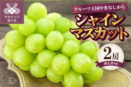 〈2026年度配送分〉シャインマスカット2房（約1.0kg） シャインマスカット 山梨 県産 先行予約 2026年 ぶどう フルーツ 2房 冷蔵 生産量 日本一 甲府 市産 1.0kg以上 フルーツ王国山梨 2026年8月中旬～9月中旬にかけて順次発送