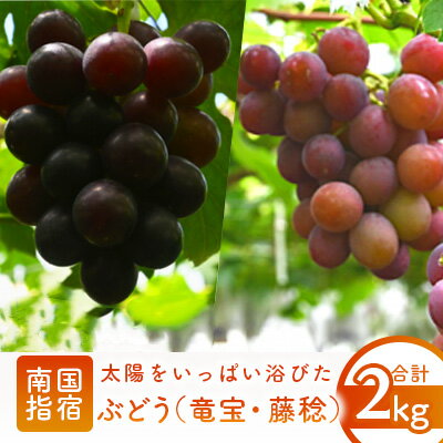 【ふるさと納税】【2025年7月下旬〜発送】＜期間限定＞ぶどう 竜宝・藤稔(合計4〜6房・約2kg) フルーツ 果物 果実 葡萄 ブドウ【迫田果樹園】