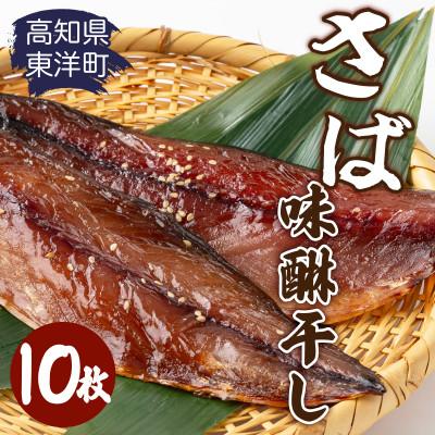 ふるさと納税 東洋町 みりん干し さば 10枚