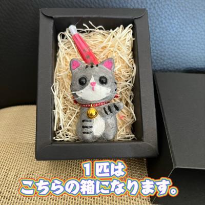 ふるさと納税 東秩父村 笠山猫(かさやまねこ)(6)たかにゃん