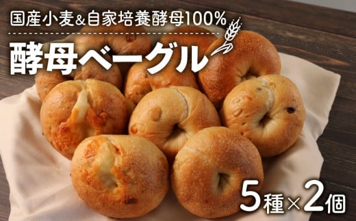 酵母ベーグルセット 10個(5種×2個) 自家培養酵母100％ ＆ 国産小麦 ( パン ベーグル 国産小麦 惣菜パン 冷凍パン 無添加 天然酵母 冷凍 詰め合わせ 小麦 朝食 朝ごはん お取り寄せ 食べ比べ 京都 国産 ) 