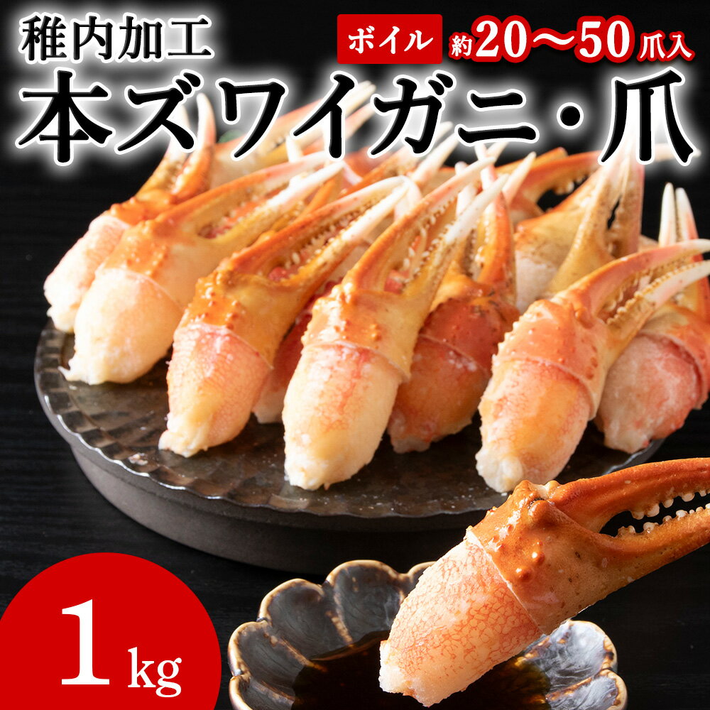 【ふるさと納税】ボイル本ズワイガニ 爪 1kg(約20〜50爪入) 本ズワイ 蟹 爪 ズワイガニ かに 本ズワイ爪 海鮮 海産物 北海道ふるさと納税 稚内 ふるさと納税 北海道 【配送不可地域：離島・沖縄県】