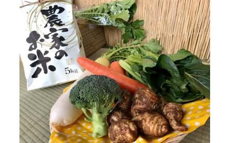＼先行予約／【12回定期】【栽培期間農薬不使用】お米(5kg)と野菜セット12ヶ月定期便 【おいしい ごはん やさい セット グルメ 無農薬】 (KBE-117)