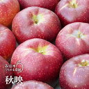 【ふるさと納税】甘さも酸味も強め！『秋映』約3kg (約7～9玉) 《信州うちやま農園》■2025年発送■※10月上旬頃～10月下旬頃まで順次発送予定 フルーツ 果物 りんご リンゴ 林檎