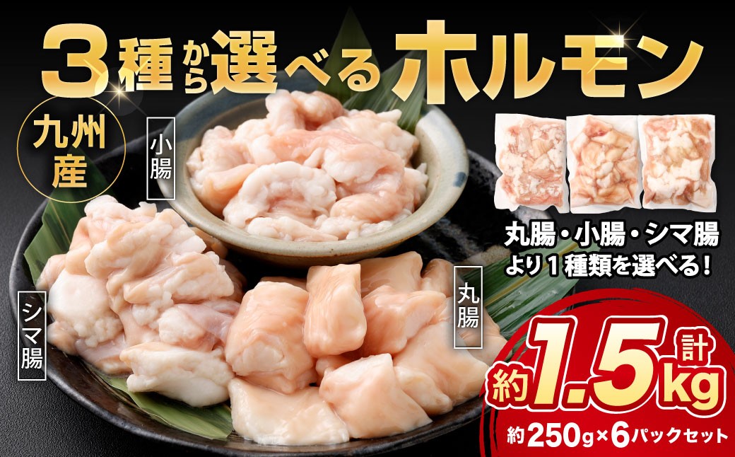 
                  3種から選べる ホルモン 約1.5kg（250g×6パック） 産地 内臓 丸腸 小腸 シマ腸 鮮度 九州産 黒毛和牛 和牛 お肉 ニク にく 肉 牛肉 牛 冷凍 即日発送
                
