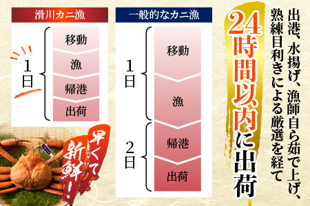 【先行予約】ボイル紅ズワイガニ ※24年9月中旬以降順次発送予定【川村水産】※発送前に在宅確認の電話連絡をいたします!　新鮮でみずみずしい甘さがぎゅっと詰まった「富山湾の朝陽」