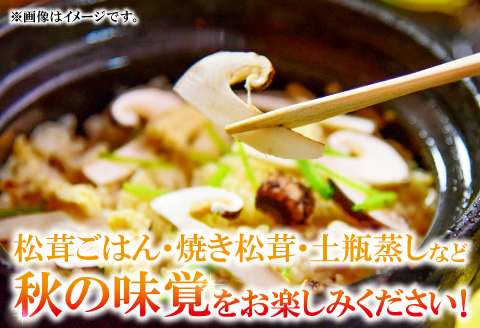 F-950 国産まつたけ　1㎏