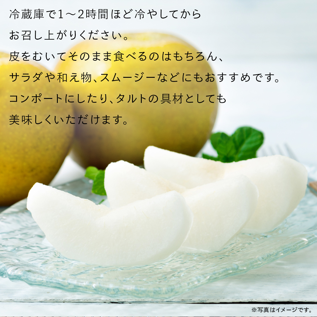 あきづき 梨 10kg （20～36玉）【2025年10月より発送開始】（茨城県共通返礼品 [梨]：大子町産） なし 旬 お取り寄せ フルーツ 甘い ジューシー 和梨 時期 秋月 [FC08-NT]_