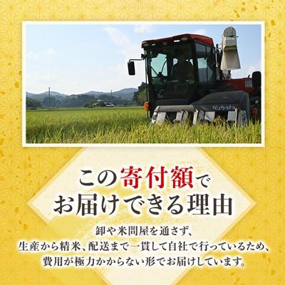 ふるさと納税 城里町 「関東地方配送限定」【令和7年産】城里町内・桂農産の【しきゆたか　精米】10kg(5kg×2袋) |  | 02
