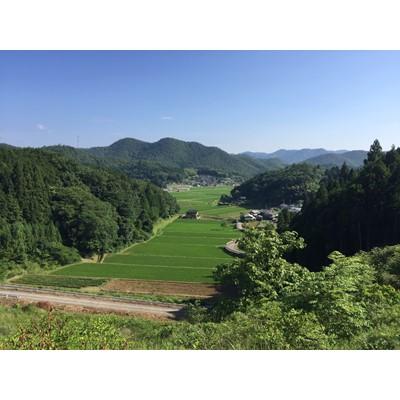 ふるさと納税 南丹市 契約栽培米　京都丹波産こしひかり100%　10kg |  | 03