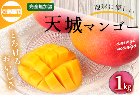【2024年発送】徳之島 天城町産 完全無加温 完熟 マンゴー 家庭用 1kg