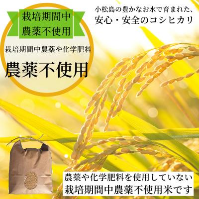 ふるさと納税 小松島市 【2025年9月順次発送】 栽培期間中農薬不使用 コシヒカリ 玄米 1.5kg 米 化学肥料不使用 |  | 01