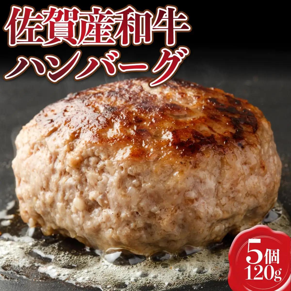 佐賀産和牛 ハンバーグ 120g×5個 