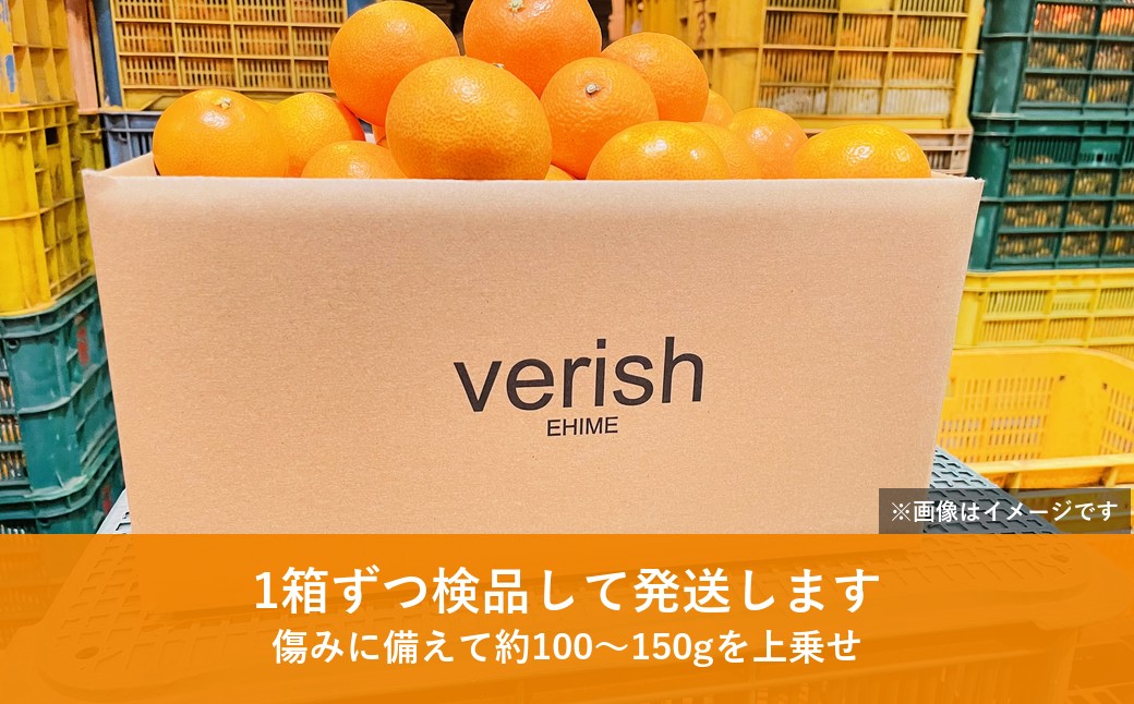 【先行受付】八幡浜産 温州みかん（5kg）家庭用【108-1】YWTBX001