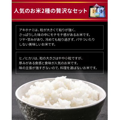 ふるさと納税 南九州市 鹿児島県産米2種食べ比べセット |  | 03
