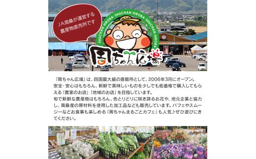 ゼリー 飲むアムスメロンゼリー （パウチタイプ） 150g×24個　愛媛県西条市 周桑産メロン使用　メロンゼリー フルーツゼリー ゼリー スイーツ フルーツ 果物 周ちゃん広場 JA周桑 【オンライン決済限定】