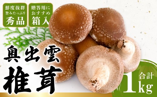 「奥出雲椎茸」秀品箱入【国産 きのこ 野菜】