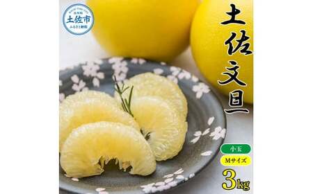 【先行予約】【訳あり】農家直送 土佐市産 土佐文旦 小玉 約3kg 7?10玉入 〈2027年2月?発送〉高知県 土佐市【株式会社種田農園】 [BQBW009]