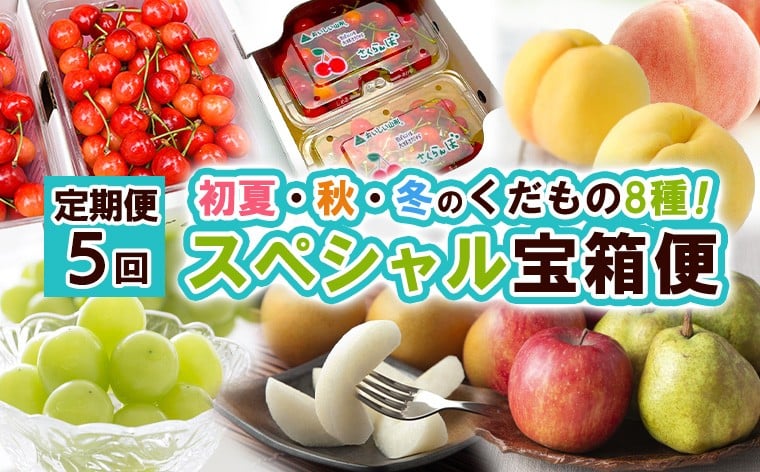 
            【定期便5回】スペシャル宝箱便 【令和8年産先行予約】FS25-616 くだもの 果物 フルーツ 山形 山形県 山形市 2026年産
          