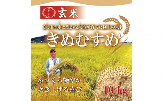 令和7年産　きぬむすめ 玄米10kg