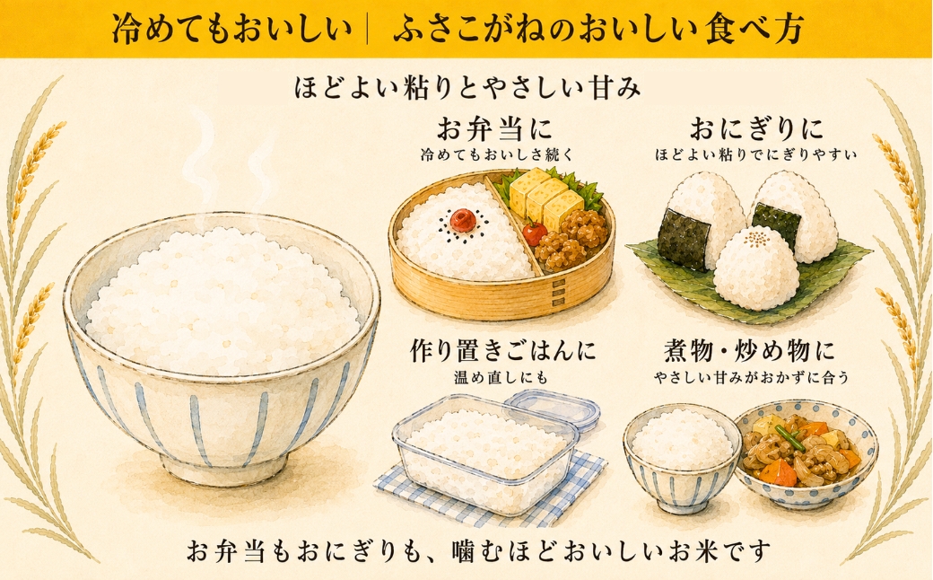 ＼令和8年産 新米 9月上旬発送予定／ 米 10kg 千葉県神崎町産 ふさこがね 白米（5kg×2袋） 早場米 冷めてもおいしい お弁当 おにぎり 家庭用 定番 [025-a015]