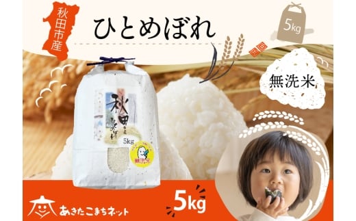 ひとめぼれ 5kg 【無洗米】秋田市産 [秋田県産 ひとめぼれ お米 精米]