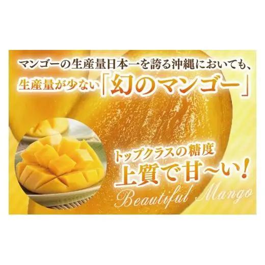 【先行受付】【2027年発送】豊見城産キーツマンゴー約2kg（化粧） AE015