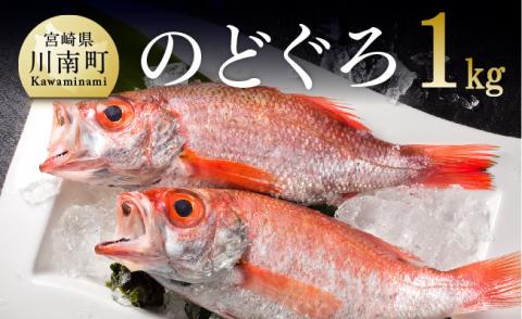 川谷水産厳選！のどぐろ(アカムツ)約1kg【高級魚 鮮魚 新鮮 さかな 海の幸】