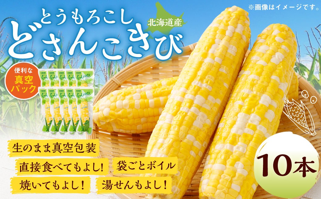 北海道産 とうもろこし 10本 どさんこきび 