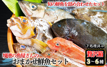 ＜土日祝着※指定日不可＞境港の魚屋さんのおまかせ鮮魚セット 贅沢箱(3～6種) 下処理済み 海鮮 鮮魚 詰め合わせ 海の幸【sm-DD013・sm-DD014】【Workplays】