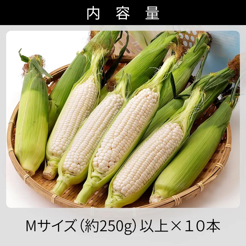 2026年産 北海道産 ホワイトコーン 計10本 北海道 上士幌町 須田農場 野菜 白い スイートコーン とうもろこし トウモロコシ 産地直送 冷蔵便 ◆2026年08月配送予定