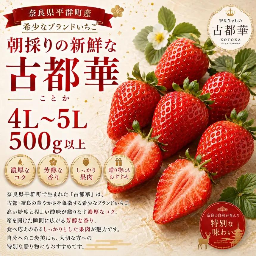AO04 朝採りの新鮮な古都華４L～5L 500ｇ以上 いちごいちえ | 果物 くだもの フルーツ 苺 イチゴ いちご ストロベリー 古都華 ことか 希少 濃厚コク 芳醇 果肉 しっとり 旬の品種 奈良県 平群町