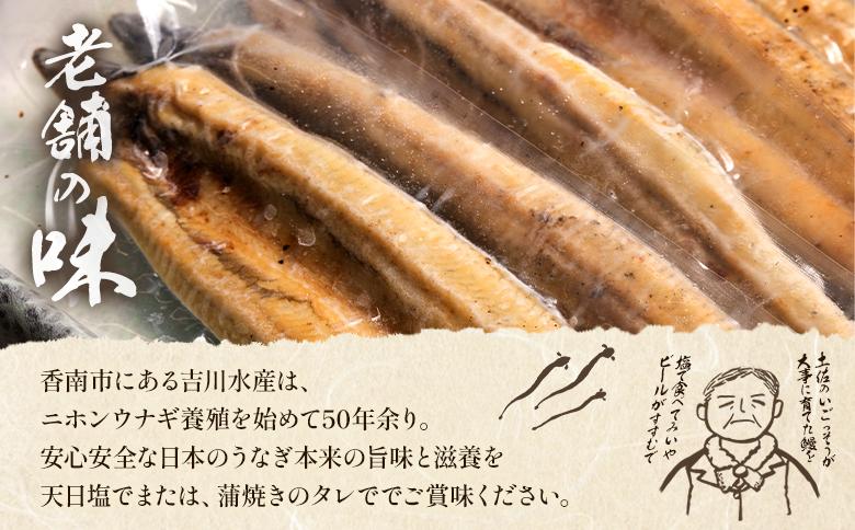 国産うなぎ 高知県産 白焼き 20尾(100～110g×20尾) 合計2kg以上 田野町完全天日塩 20g付き 黒箱 yw-0088
