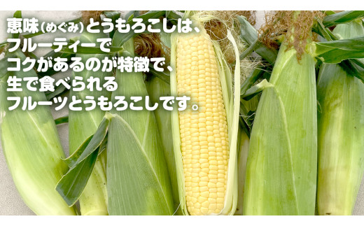 嬬恋産 めぐみ コーンスープ 150g × 5袋 とうもろこし コーンスープ スープ めぐみとうもろこし 嬬恋村 レトルトレンチン レンジ[AE007tu] 0