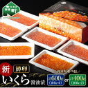 【ふるさと納税】いくら イクラ 小分け 醤油漬け 100g×6パック or 賞味期限間近！200g×2パック 訳あり 寄付額（鱒卵）【容量・発送月が選べる】森町 いくら醤油漬け しょうゆ漬け 海産物 加工品 小分け 森町 北海道 15000円 選べる 発送月 ＜ワイエスフーズ＞ mr1-0424