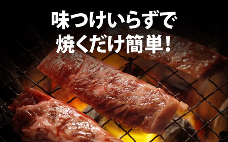 牛サガリプルコギ1.2kg 広川町 / 株式会社POWER EAST CONNECTION[AFAZ044]