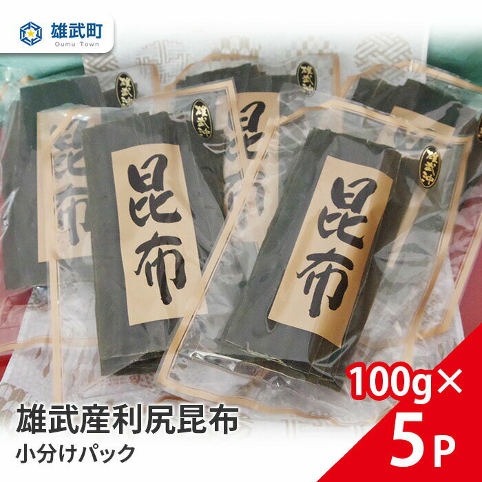 【ふるさと納税】オホーツク産 昆布 天然 利尻昆布 小分け 100g × 5 出汁 味噌汁 ギフト お中元 お歳暮 ふるさと納税 北海道 雄武 雄武町 【01111】