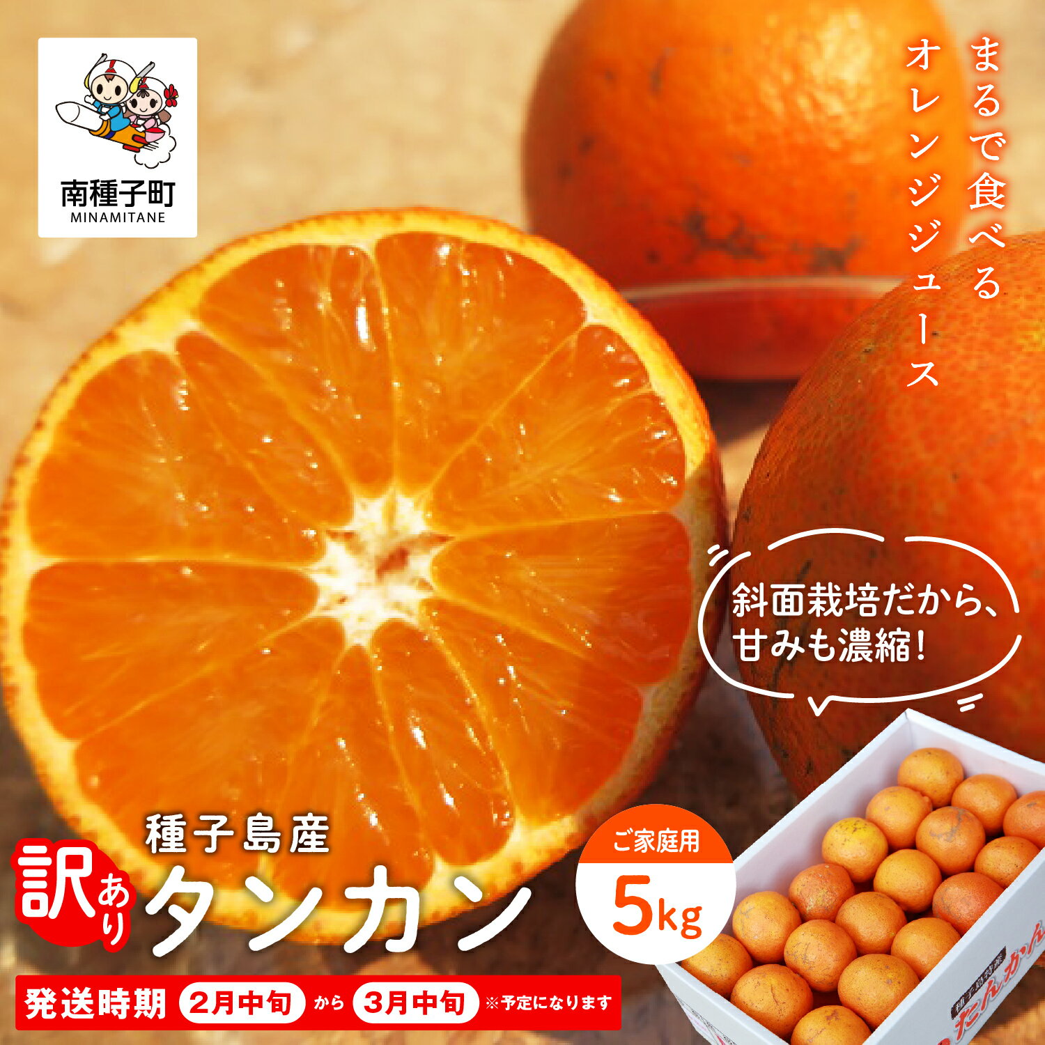 【ふるさと納税】《 先行予約 》訳あり 種子島産タンカン 約 5kg ( 24玉〜36玉 ) 家庭用 タンカン たんかん オレンジ みかん 柑橘 果物 フルーツ グルメ お取り寄せ お正月 人気 返礼品 南種子町 鹿児島 《 2027年2月中旬〜3月中旬頃順次発送 》【南種子町果樹部会】