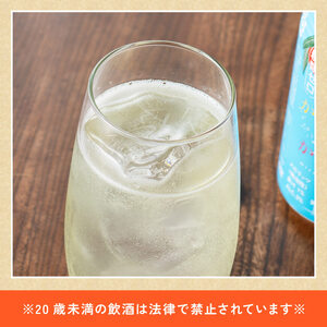 【6ヶ月定期便】サンA酎乾杯果汁「マンゴー酎ハイ」（350ml缶×24本）【酒 お酒 チューハイ アルコール飲料  アルコール マンゴー 全6回 定期便】