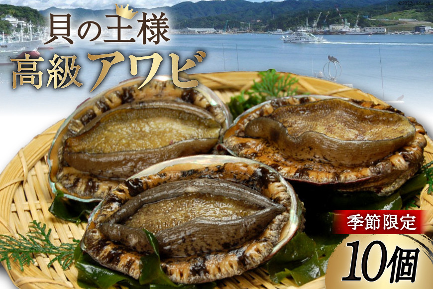 
            【期間限定発送】 三陸産 アワビ 10個 [さんりくみらい 宮城県 気仙沼市 20564206] 魚貝類 魚介類 鮑 あわび エゾアワビ 季節限定 期間限定 高級 冷蔵
          