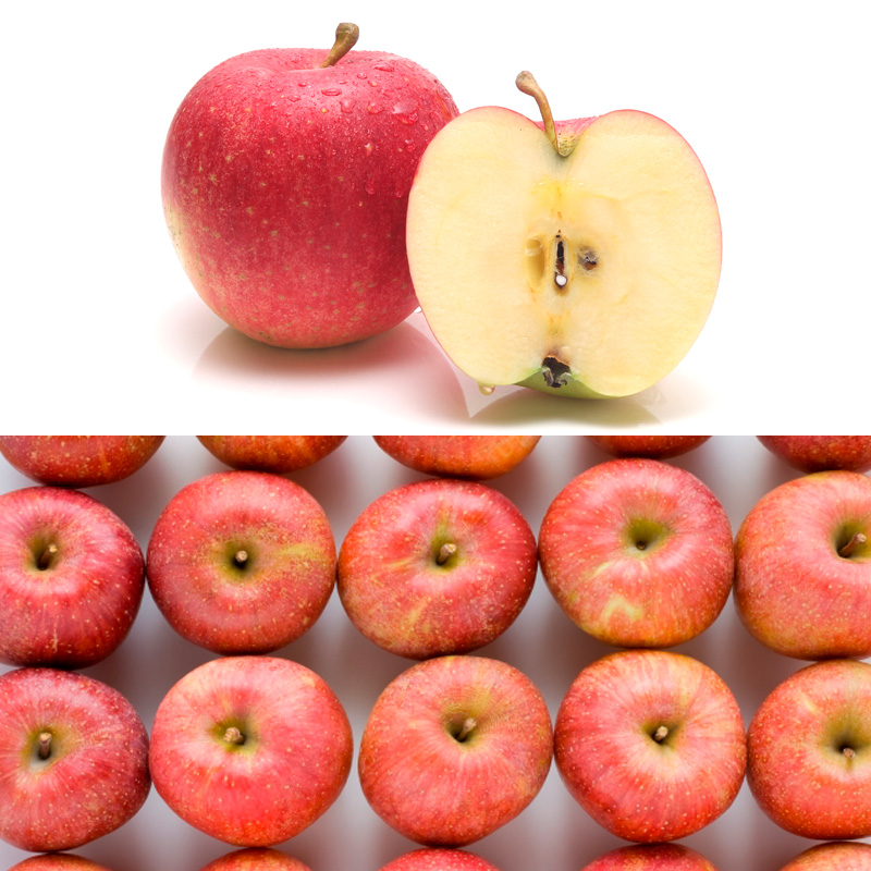 【定期便5回】濃厚果実の秋冬便 FY25-021